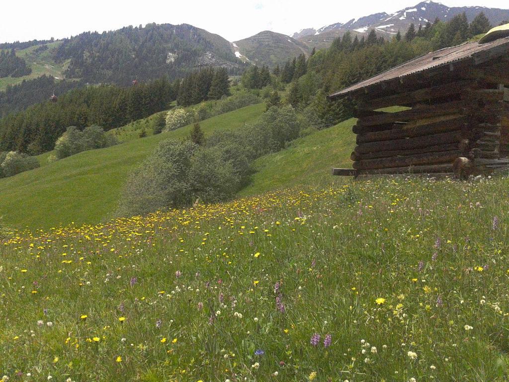 Apart Panoramablick Kaunerberg Exterior photo